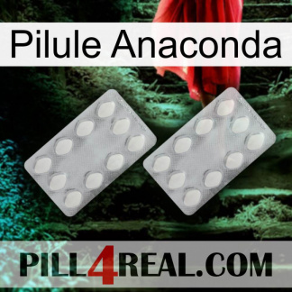 Anaconda Pill 17